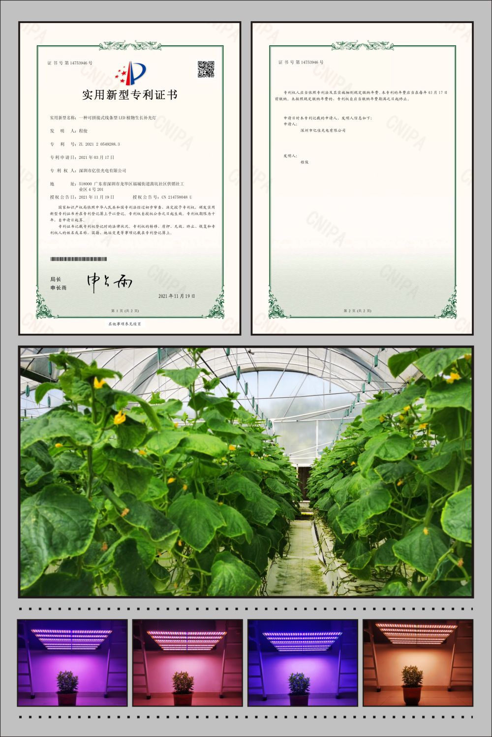 兰科博弈RankBet植物农场灯实用新型专利